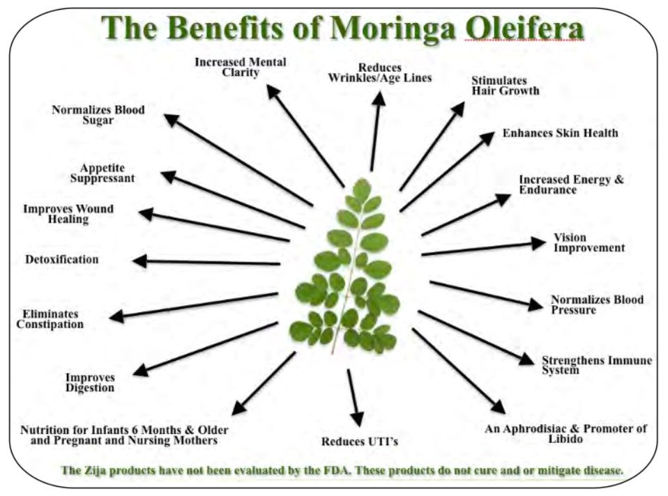 moringa-benefits