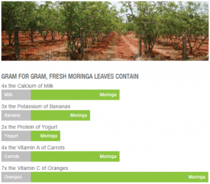 Moringa Nutrition